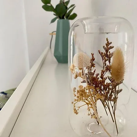 Treparriscos L Cine En Casa L Wifi L Vistas * Biescas (Aragon)