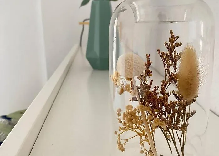 Treparriscos L Cine En Casa L Wifi L Vistas * Biescas (Aragon)